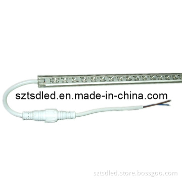 CE Approved Waterproof 5mm Piranha LED Bar Light (TD-12PRBSF5WW60)